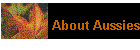About Aussies